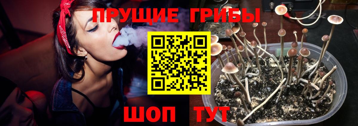 Галлюциногенные грибы Psilocybe Нижнеудинск